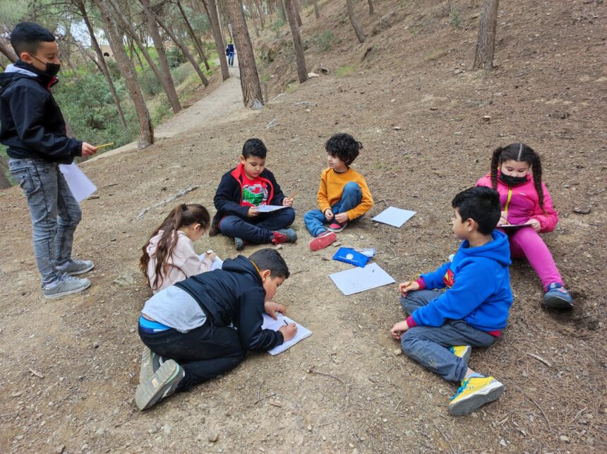 Salida al bosque Primer Ciclo