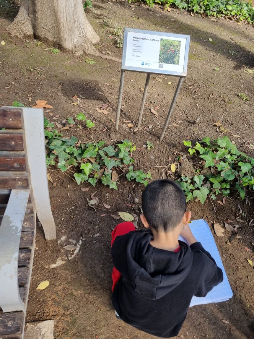 Clase en el Parque